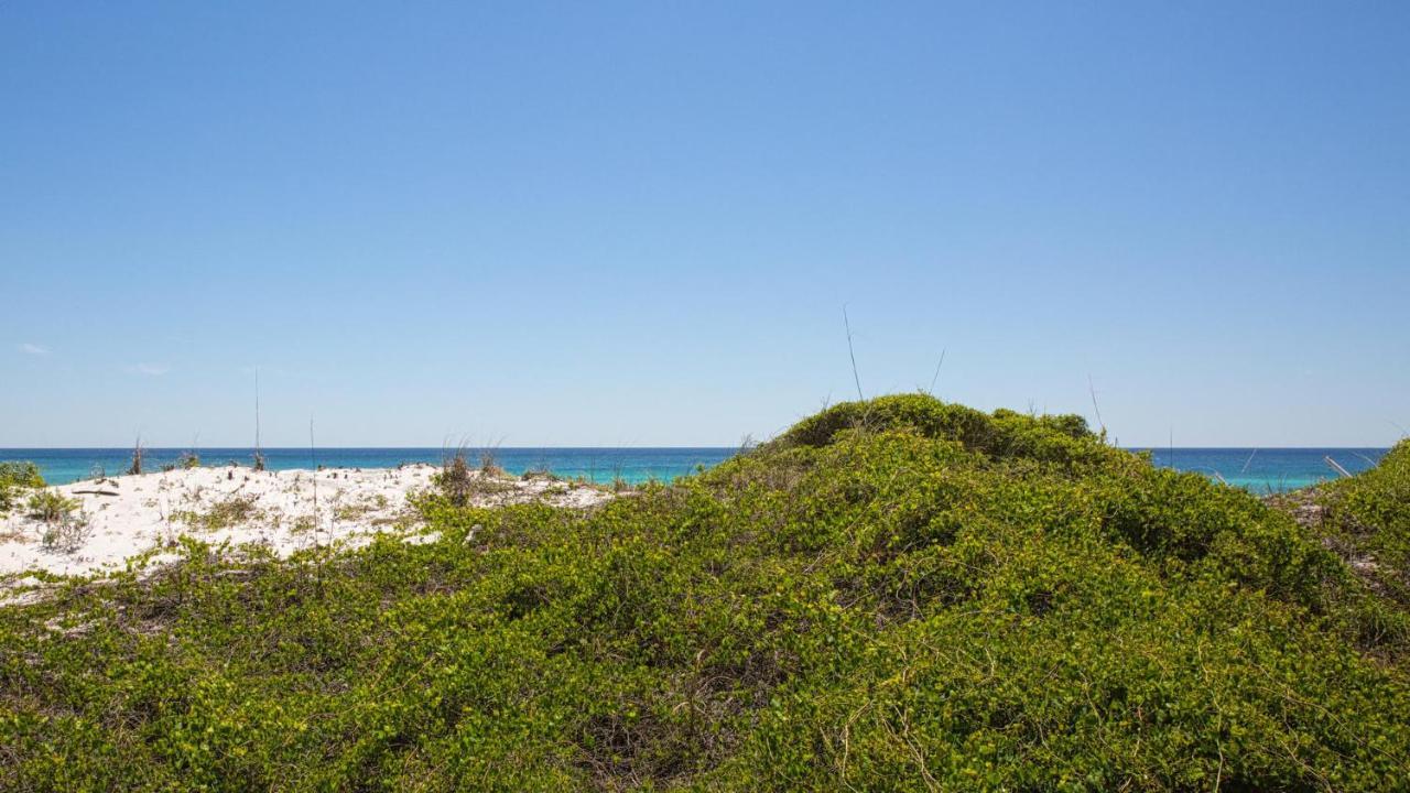 Hidden Dunes Gulfside 502 - Gulf Front And Updated เดสติน ภายนอก รูปภาพ